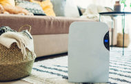 Best Dehumidifier for Apartment 2022: Reviews + Buying Guide