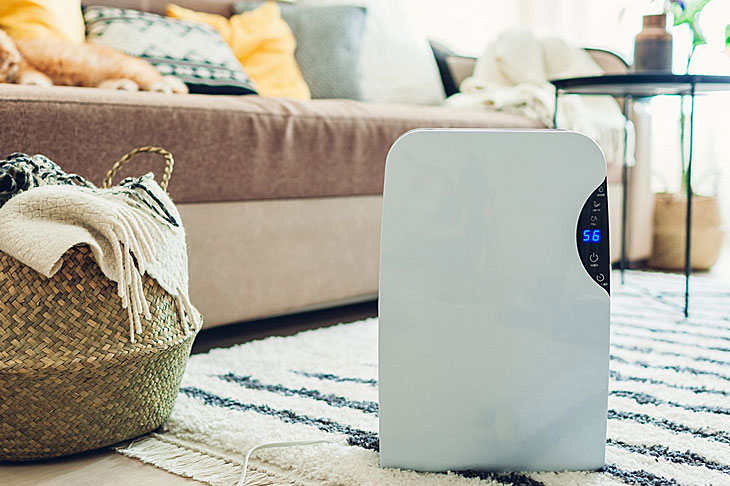 Best Dehumidifier for Apartment 2022: Reviews + Buying Guide